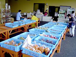 豊野温泉りんごの湯　農産物直売所の写真2